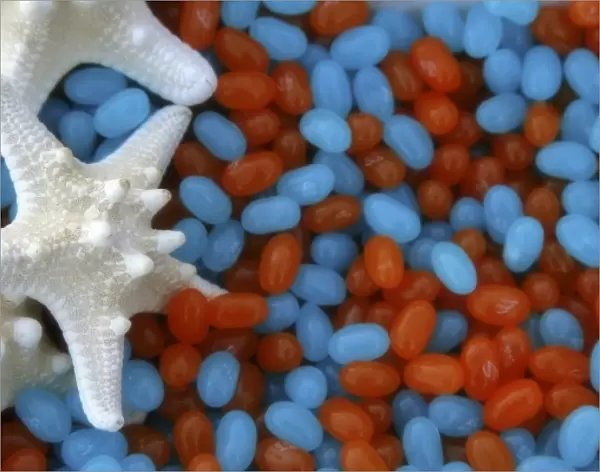 Red and blue jelly beans and white starfish