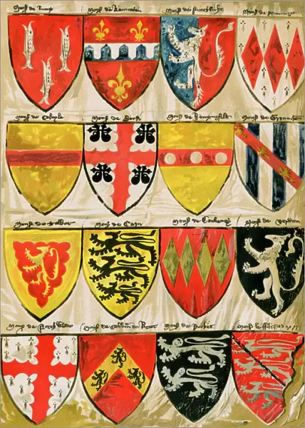 Medieval English shield designs