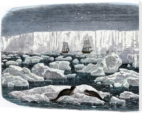 Ships off the Antarctic ice-shelf, 1800s
