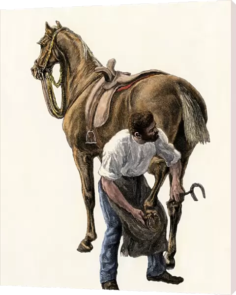 Blacksmith shoeing a horse
