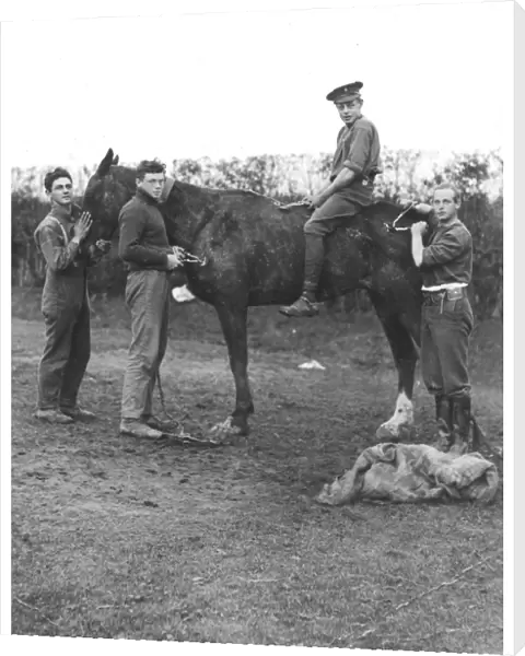 RSR 16th Battalion, Sussex Yeomanry, horse grooming
