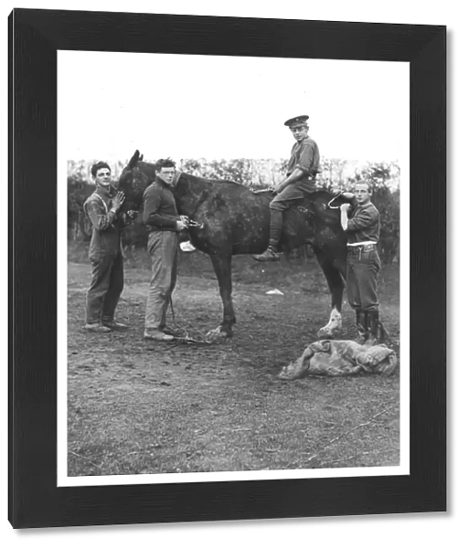 RSR 16th Battalion, Sussex Yeomanry, horse grooming