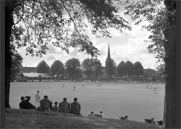Summers day scene of cricket in Priory Park, Chichester