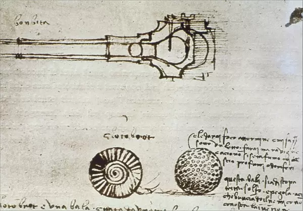 Pen-and-ink drawing of a mortar bomb from Leonardo da Vincis notebook, c1495