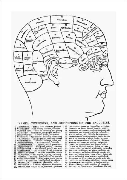 An American phrenological chart of 1869