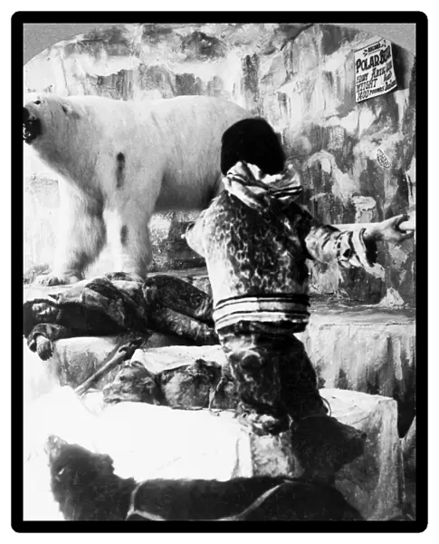 WORLDs FAIR: ESKIMOS. An exhibit depicting an Eskimo fighting a polar bear, with