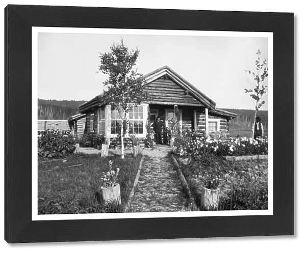 ALASKA: LOG CABIN, c1916. A man standing in front of his log cabin with a flower