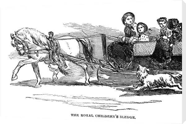 ENGLAND: ROYAL SLEDGE, 1854. The pony-drawn sledge of the children of Queen Victoria