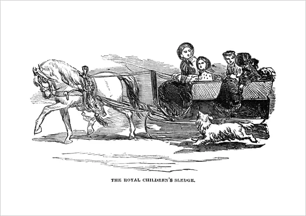 ENGLAND: ROYAL SLEDGE, 1854. The pony-drawn sledge of the children of Queen Victoria