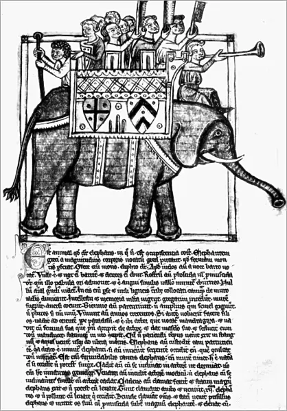 BESTIARY: ELEPHANT. Picture of an elephant, from a Latin treatise on the nature of beasts