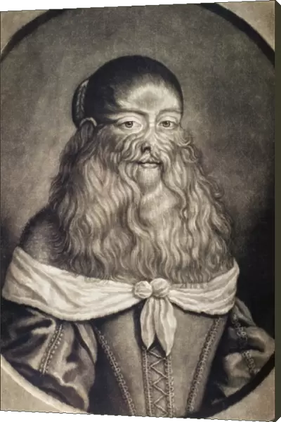 HAIRY MAID, 17th CENTURY. Barbara Urslerin, German bearded lady know as the Hairy Maid