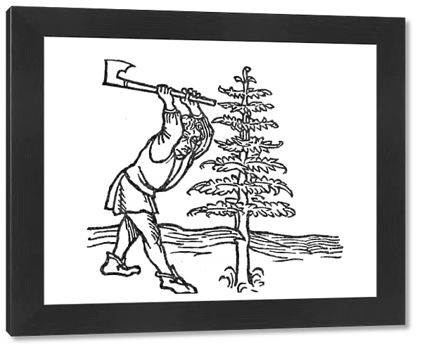 CHRISTMAS: WOODCUTTER. Woodcutter and the fir tree. Woodcut from Vita Aesopi Fabulatoris