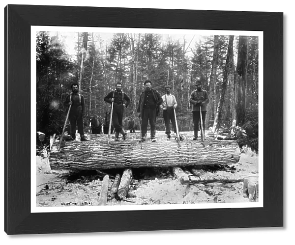 MICHIGAN: LUMBERJACKS. A group of lumberjacks standing on a snow covered log in Michigan