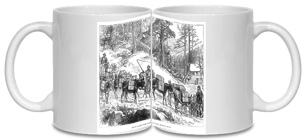 MINING: MULE TRAIN, 1880. A mule train provisioning a miners camp in Colorado