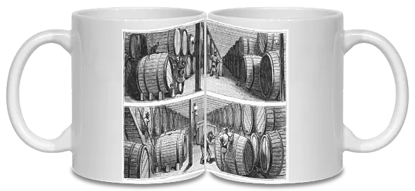 NEW YORK: WINE INDUSTRY. Wine cellars of Werner and Company on Park Place in New York City