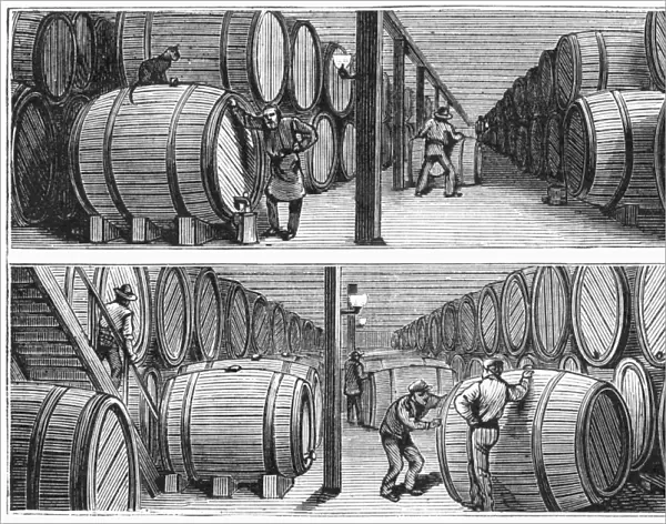 NEW YORK: WINE INDUSTRY. Wine cellars of Werner and Company on Park Place in New York City