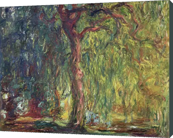 MONET: WEEPING WILLOW. Oil on canvas, Claude Monet, c1918