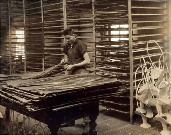 HINE: FLOWER FACTORY, 1917. A 15-year-old boy sorting cycas leaves at the Boston