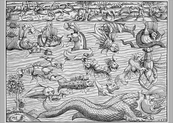 SEA MONSTERS, 1550. Sea monsters inhabiting the north Atlantic and animals found