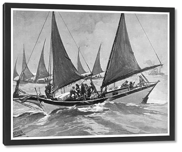 OYSTER PIRATES, 1892. Poaching oysters along the coast of the United States. Drawing