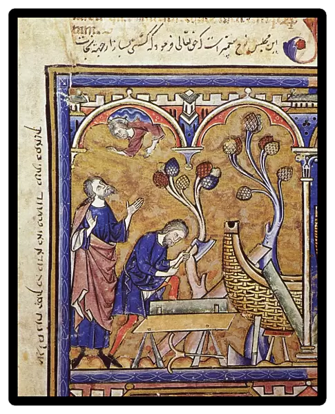 NOAHs ARK. The building of the Ark (Genesis 6: 13-17). French manuscript illumination