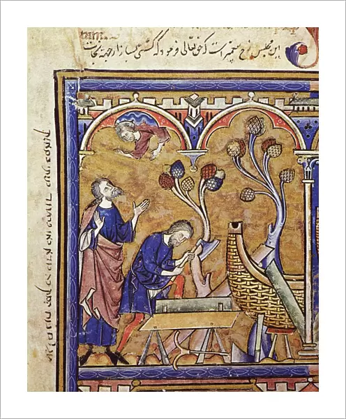 NOAHs ARK. The building of the Ark (Genesis 6: 13-17). French manuscript illumination
