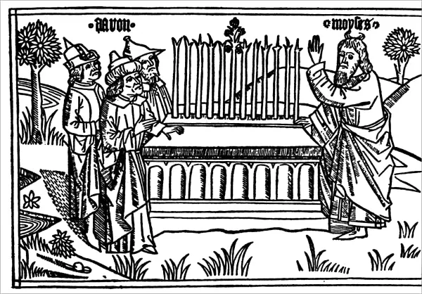 aRONs ROD. Moses (right) observes as Aarons rod, representing the tribe of Levi