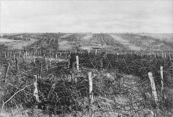 WORLD WAR I: BARBED WIRE. Barbed wire on a battlefield on the Western Front during World War I