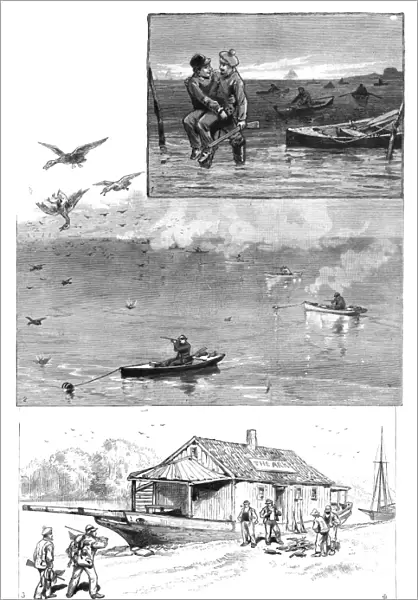 DUCK HUNTING, 1886. Opening the Gunning Season. - Duck-Shooting on Long Island Sound