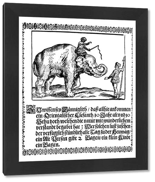 ELEPHANT BROADSHEET, c1629. German woodcut broadsheet, c1629