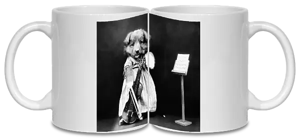 FREES: DOG, c1914. The fiddler. Photograph by Harry Whittier Frees, c1914