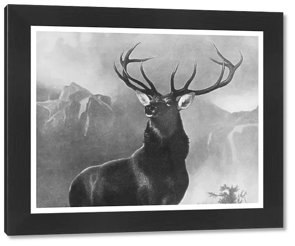 LANDSEER: STAG, 1851. Monarch of the Glen. After the painting by Edwin Landseer, 1851