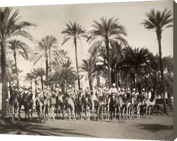 EGYPT: BRITISH CAMEL CORPS. Mounted soldiers of the British colonial army in Egypt