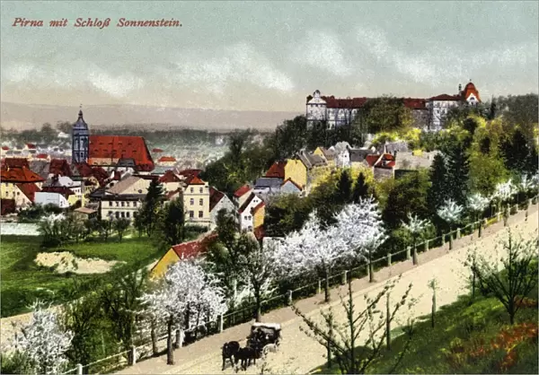 GERMANY: PIRNA, c1920. View of Pirna including Sonnenstein Castle. Photograph, c1920