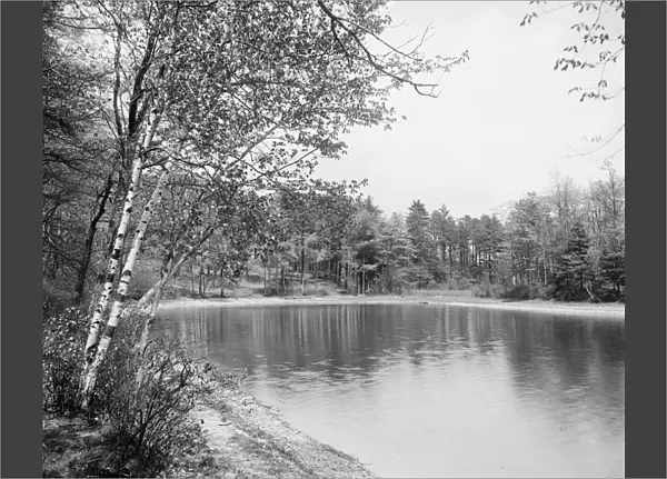 WALDEN POND, c1905. Thoreaus cove at Walden Pond in Concord, Massachusetts. Photograph