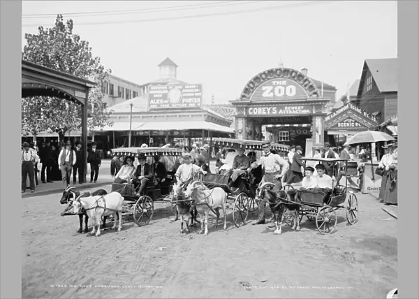 CONEY ISLAND: GOAT CARTS. The goat carriages at Coney Island, Brooklyn, New York