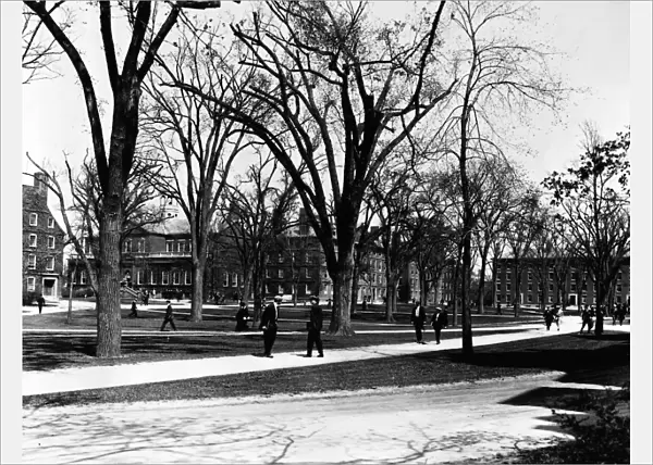 HARVARD UNIVERSITY, c1920. Campus of Harvard University, Cambridge, Massachusetts