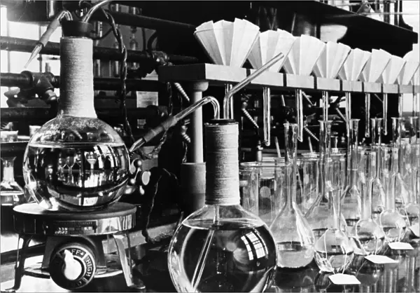 POTATO LABORATORY, 1935. Interior of a potato laboratory, Prince Georges County, Maryland