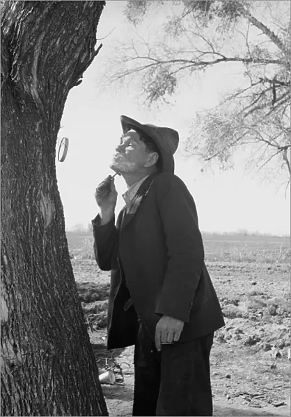 MIGRANT WORKER, 1939. A migrant worker shaving by the roadside, on his way to San Diego