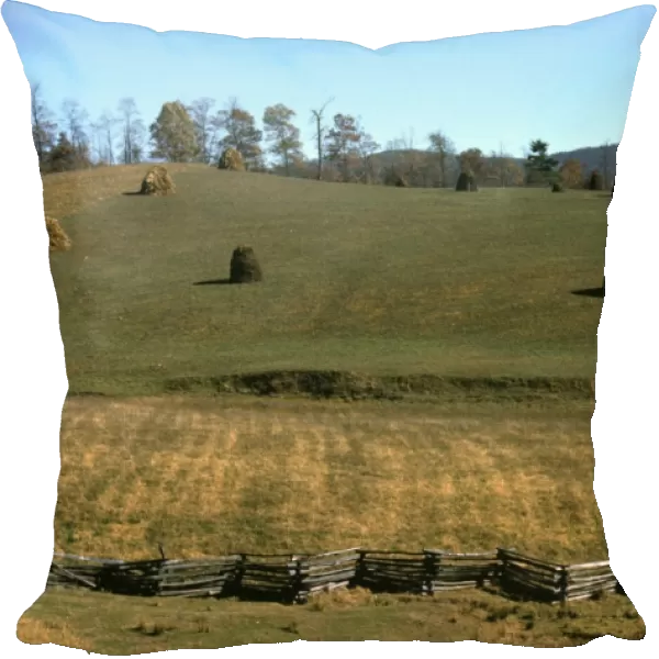 VIRGINIA: FARM, c1940. Corn shocks on a mountain farm along the Skyline Drive, Virginia