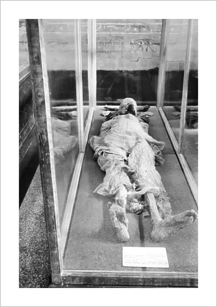 EGYPT: CAIRO. The mummy of a pharaoh in the Cairo Museum, Cairo, Egypt. Photograph