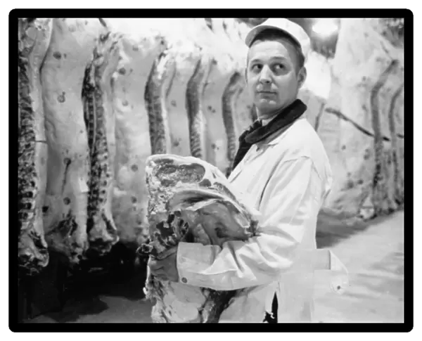 BUTCHER, 1949. An American butcher holding a slab of beef in a packinghouse