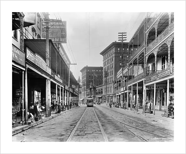 NEW ORLEANS: STREET SCENE. A view of St. Charles Avenue in New Orleans, Louisiana. Photographed c1895