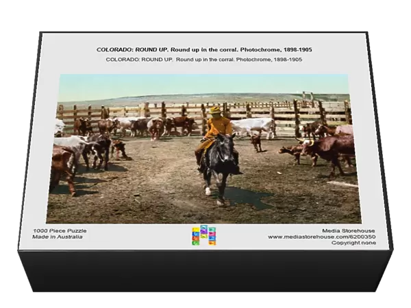 COLORADO: ROUND UP. Round up in the corral. Photochrome, 1898-1905
