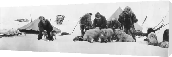 FRIDTJOF NANSEN (1861-1930). Norwegian arctic explorer and statesman. Nansens 1893-96 polar expedition making ready for a start on a sledge as they leave the expeditions ship Fram