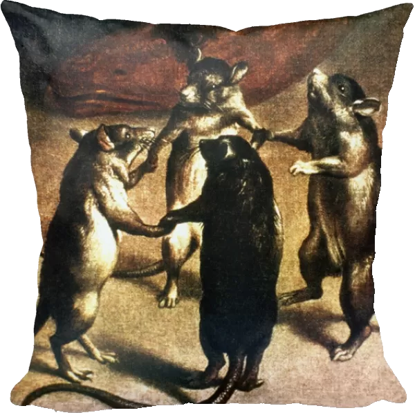 PLAGUE: DANCE OF THE RATS. Rats dancing at the time of the plague. Oil on canvas, c1800