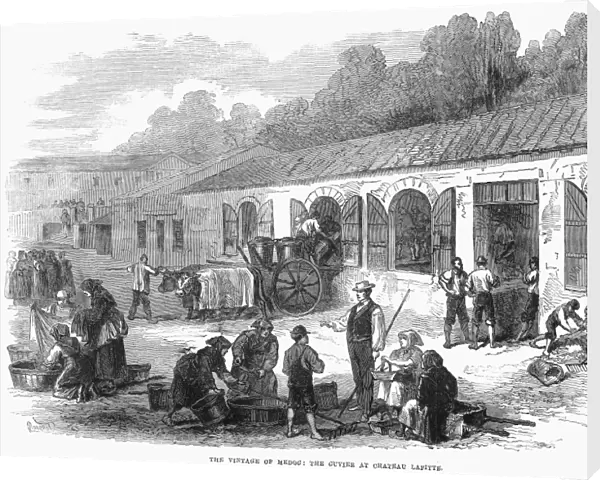 FRANCE: WINEMAKING, 1871. Grapes being brought to Chteau Lafite for the preparation of the famous Medoc wine. Wood engraving, English, 1871