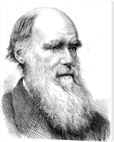 CHARLES ROBERT DARWIN (1809-1882). English naturalist. Wood engraving, 1873