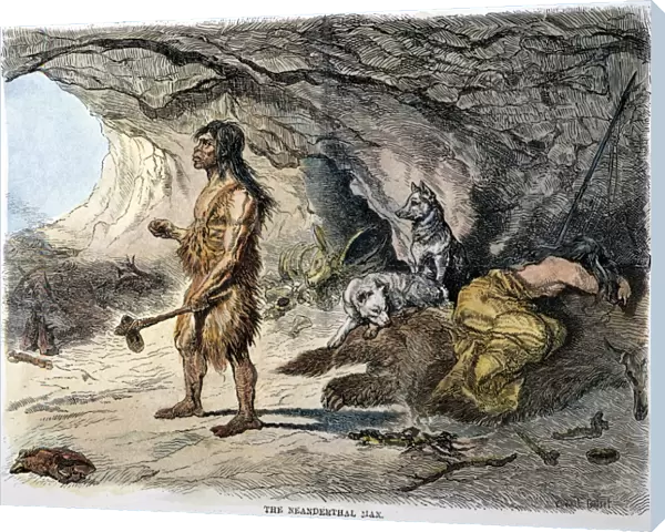 NEANDERTHAL MAN. A late 19th century depiction of Neanderthal man (Homo neanderthalensis) based on the 1857 discovery of human skeletal remains in the Neander Valley, Prussia: engraving, 1873