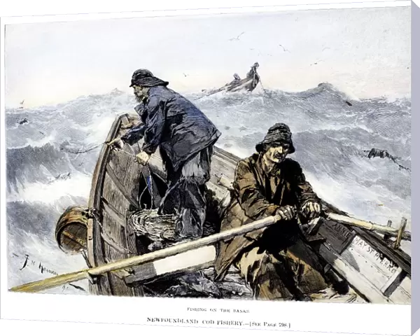 COD FISHING, 1891. Fishing for cod on the Grand Banks off the coast of Newfoundland. Wood engraving, American, 1891